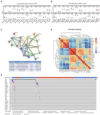 Characterization of a lactate metabolism-related signature for evaluation of immune features and prediction prognosis in glioma